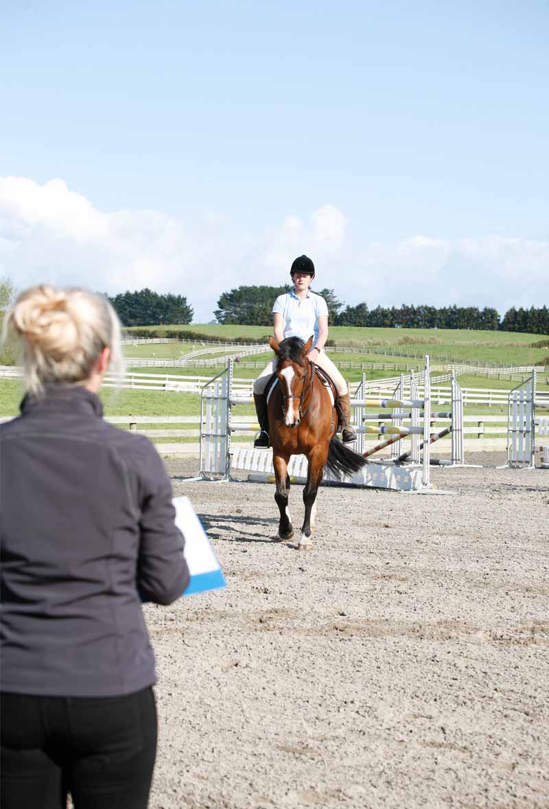 Horse rider assessment