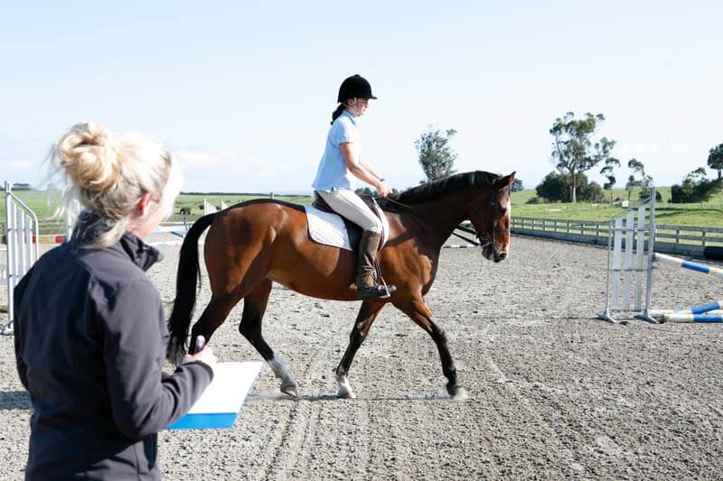 Horse rider posture assessment